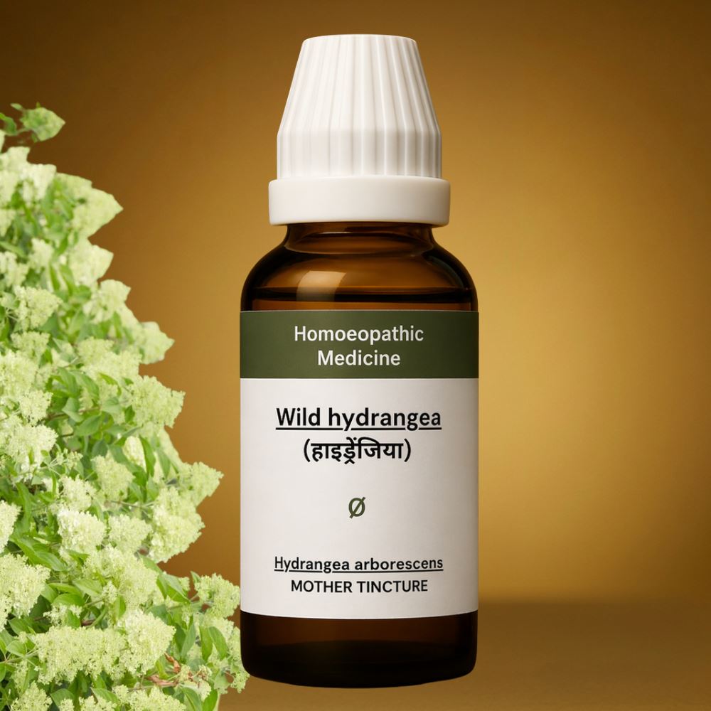 Wild Hydrangea BIOHERBAL® VERY PREMIUM BIOHERBAL® for Kidney Health: Complete Guide to Detox, Stone Support & Urinary Wellness”