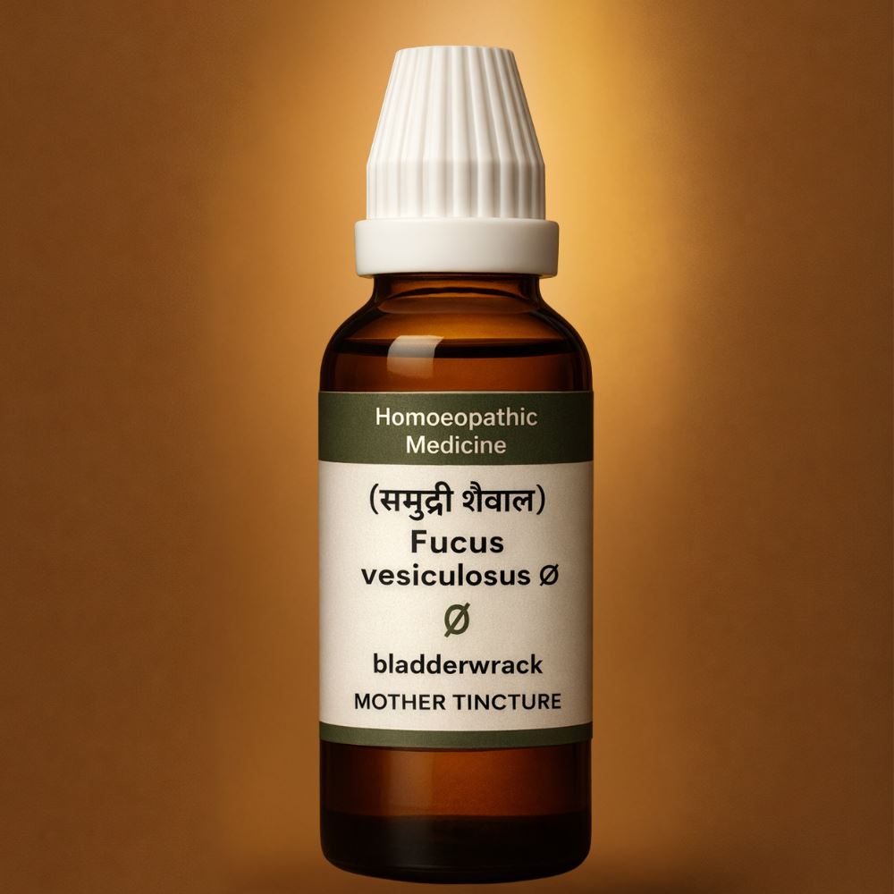 Bladderwrack Extract  A Natural Premium Marine Botanical for Belly Fat/ Weight Management/Obesity   Metabolic Balance, Digestive Wellness and Overall Vitality