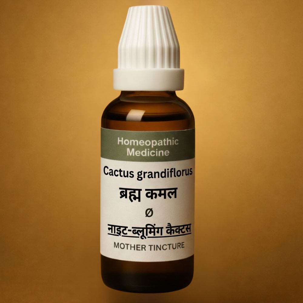 Bioherbal® Premium NIGHT BLOOMING CACTUS /BRAHM KAMAL Advanced Multi-System Herbal Wellness Formula,Tincture VERY RAYE MEDIICNE FOR OVERALL HEALTH