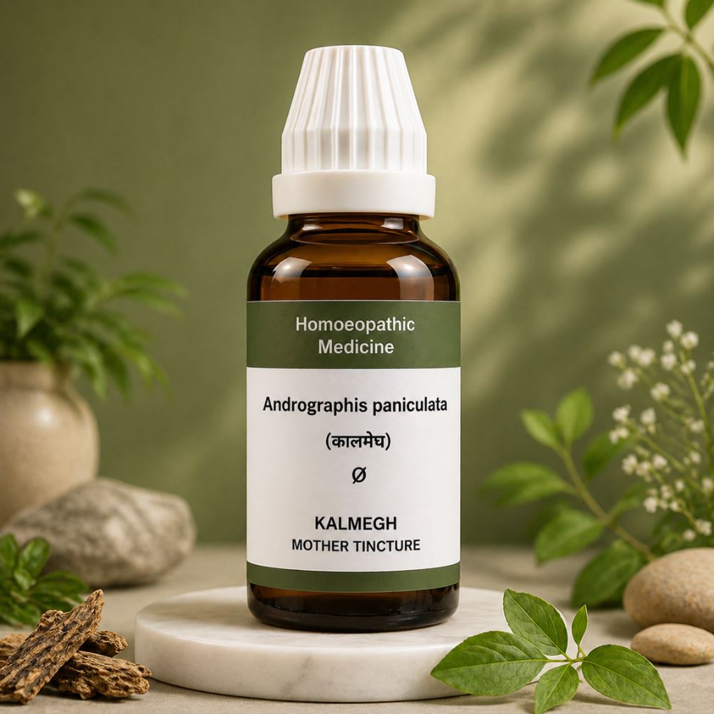 Kalmegh Extract Bioherbal® VERY PREMIUM DROPS – Complete Guide for Liver Health, Immunity, Digestion & Disease Support